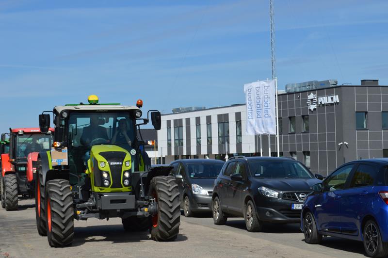 Zdjęcie 176